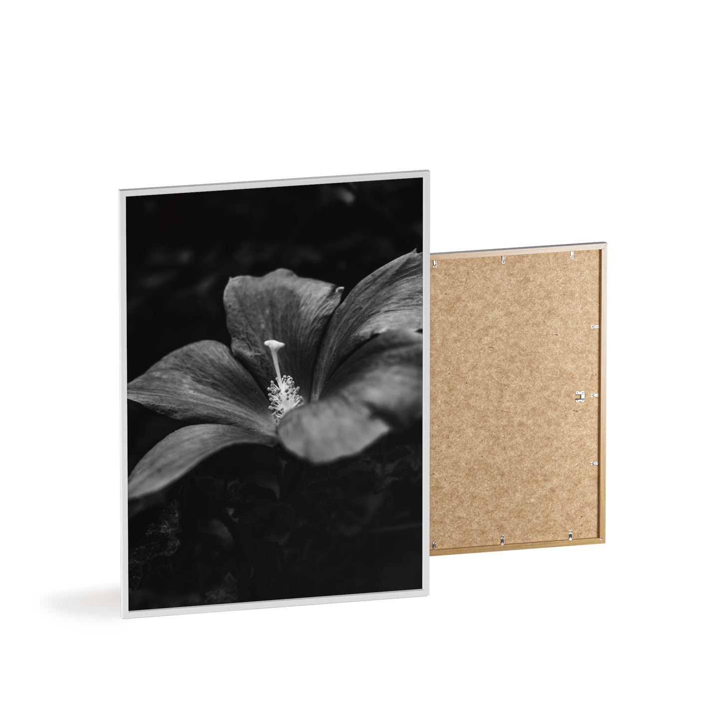 Flower Black & White Poster with Wooden Frame