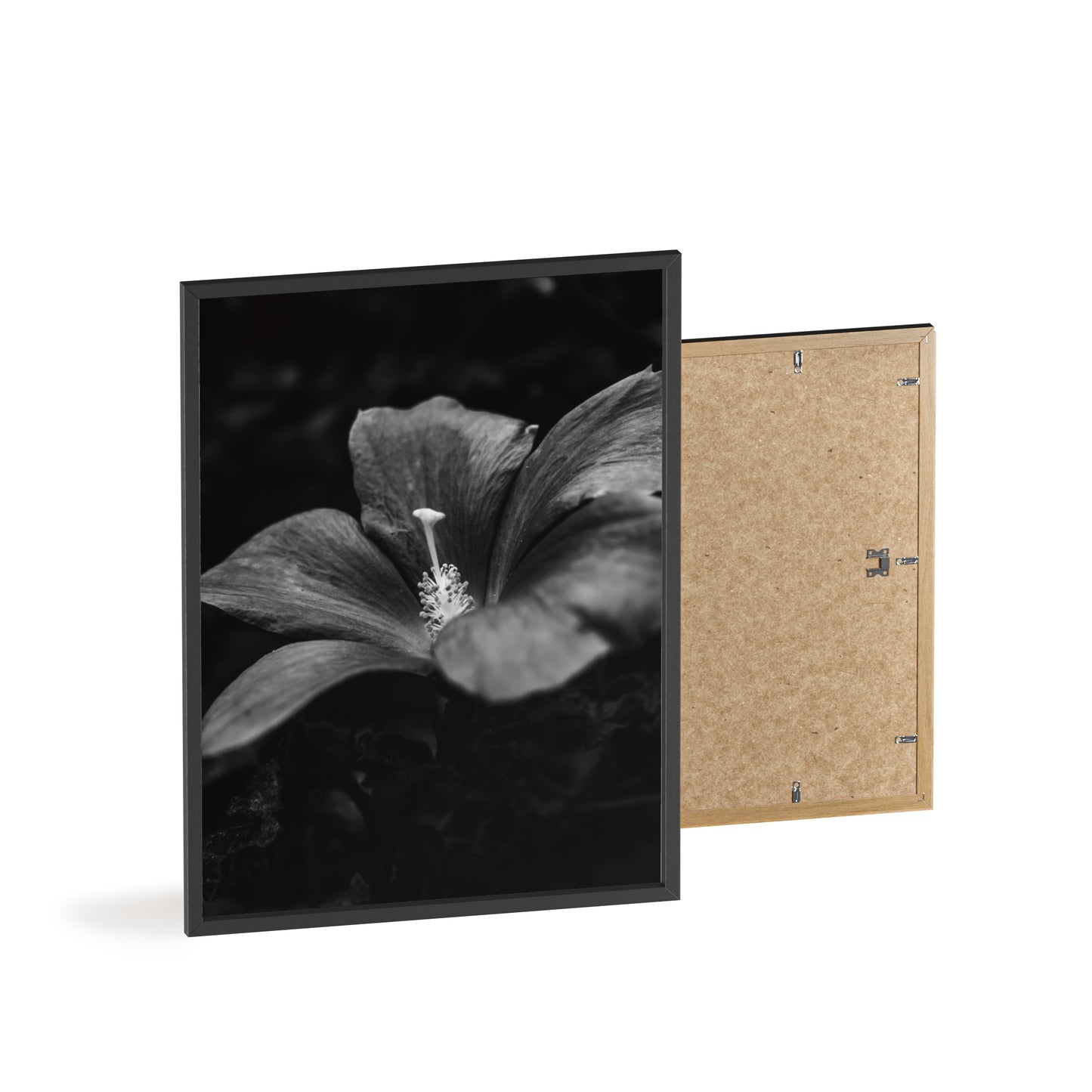 Flower Black & White Poster with Wooden Frame